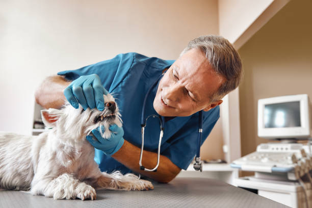 Best 24-Hour Emergency Dentist in Anadarko, OK